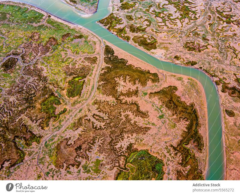 Aerial perspective of intricate marshland waterways aerial green vegetation drone landscape nature wetland terrain patch pattern river stream meander earth wild