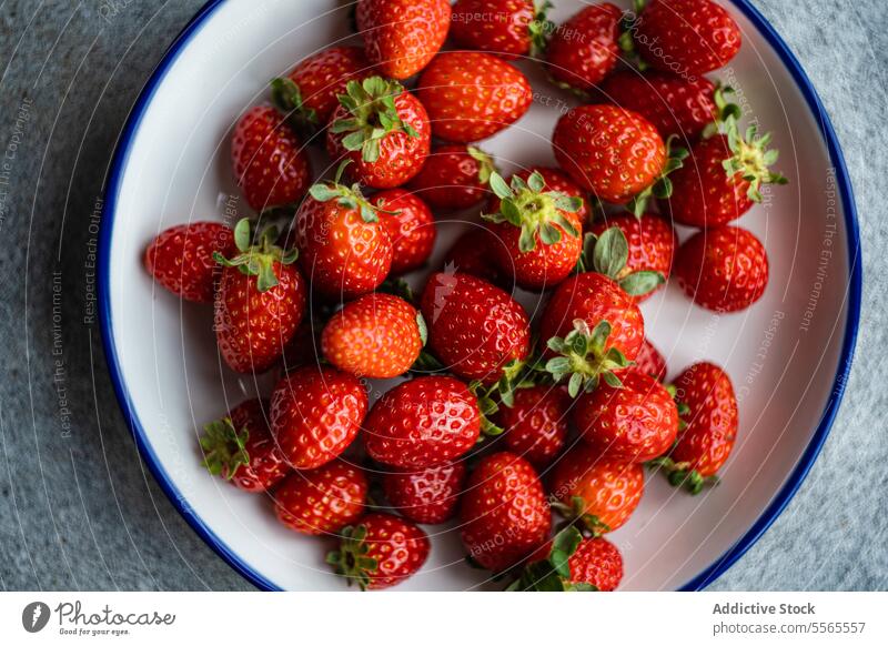 Organic strawberries in a white and blue plate. Strawberry organic red green fruit leaf fresh ripe food healthy vegetarian vegan rim gray backdrop texture