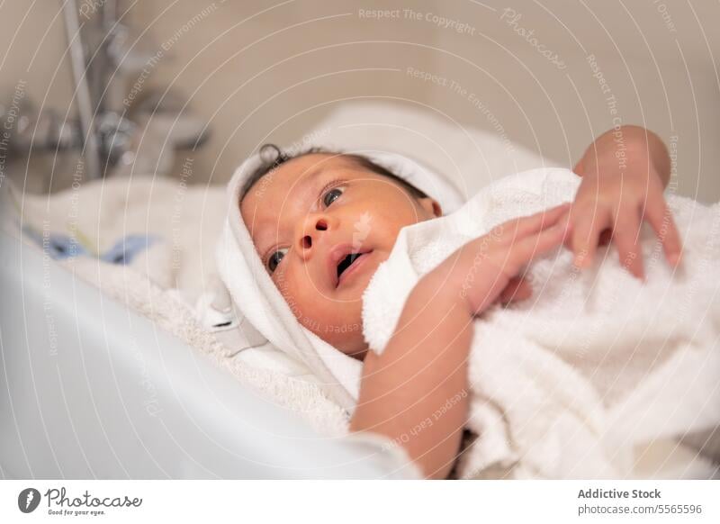 Newborn baby wrapped in a towel newborn infant bed blanket rest innocent cute love adorable bedroom comfort home babyhood kid peaceful calm little sweet tender