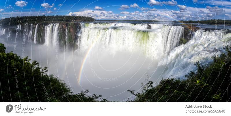 Iguazu Falls with a rainbow in Argentina waterfall iguazu nature travel landscape river america argentina argentine park view jungle south national rainforest