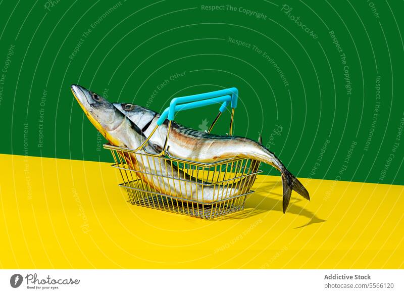 Basket with fish on green and yellow background animal basket metal material side view indoors table surface wall colorful food eat protein nutrition nutrient