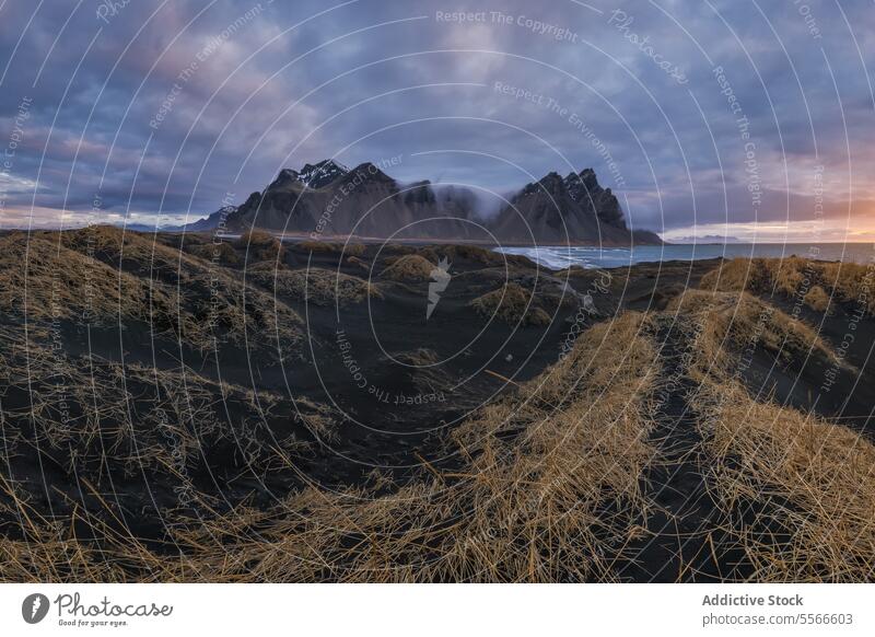 Stokksnes sunset panorama in Islandia stokksnes landscape mountain dune grass black sand nature glow serene breathtaking vastness sky cloud twilight evening