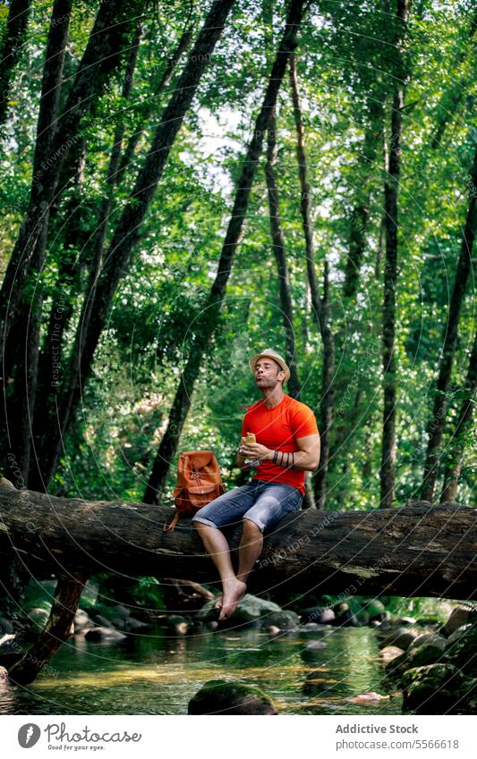 Caucasian man with hat eating a delicious sandwich on fallen log in forest. traveler brook red contemplative stream sitting serene nature caucasian vertical