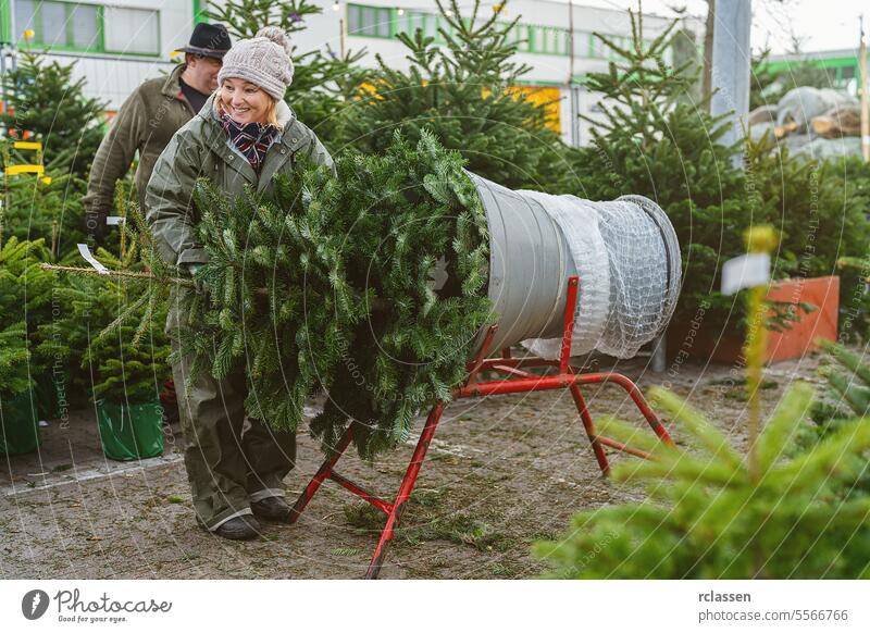 Saleswoman being wrapped up a cut Christmas tree packed in a plastic net at a street market saleswoman buy help child safety net bagged bind christmas season