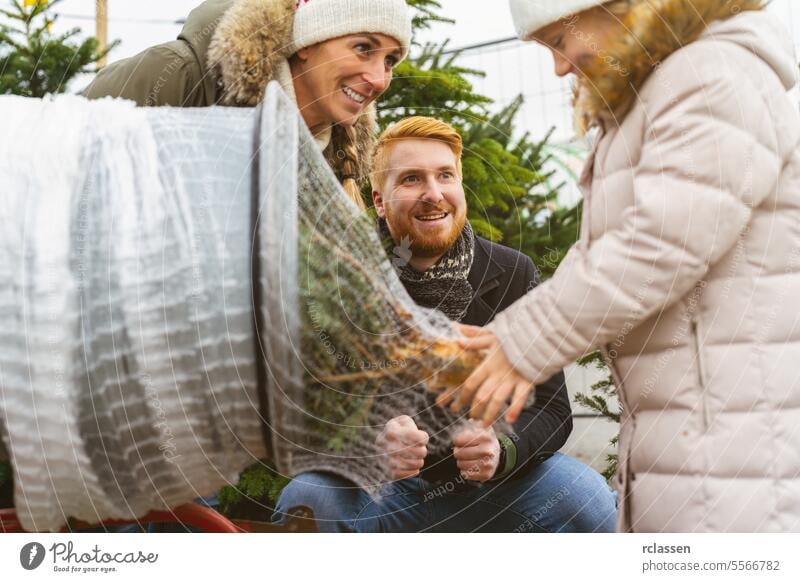 Daughter pull being wrapped up a cut Christmas tree packed in a plastic net at a street market teamwork buy help child daughter safety net bagged bind