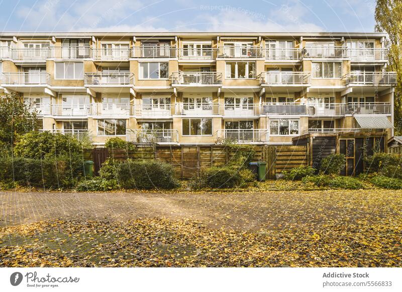 Exterior of building and plants growing in yard exterior apartment balcony backyard leaf fallen fence sunny window residential house architecture modern