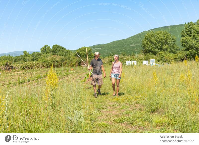 Conversing mature couple in a green field man woman conversation sky blue walk summer nature outdoors rural scenery talk hat shorts plants grass hill trees