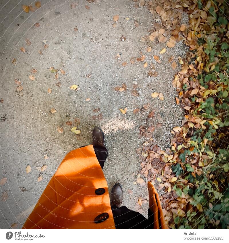 autumn walk Autumn To go for a walk Going Bird's-eye view Lanes & trails Human being Walking Coat Orange Brown Rust leaves Pedestrian Legs Movement Woman