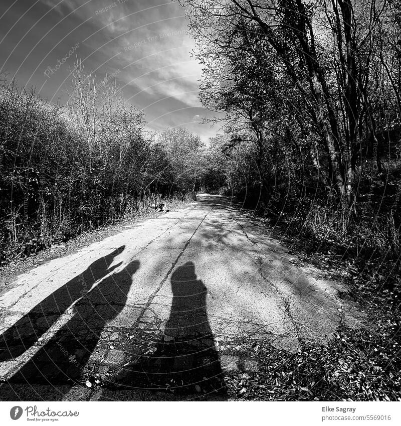 Light and shadow - by three ladies in black and white... Shadow Shadow play Sunlight Contrast Abstract Exterior shot shadow cast Silhouette Dark side