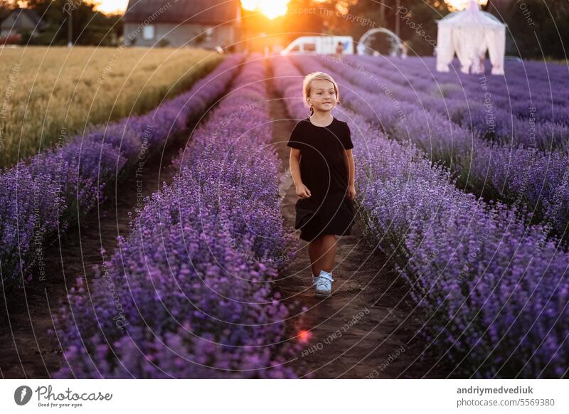 International Children's Day. Adorable smiling little child girl in black dress is walking in the large lavender field on sunset on summer holiday. Kid spending time with her family on nature