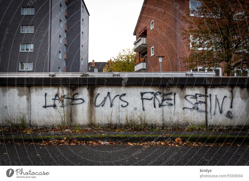 Let's be free. Text on a wall , Graffiti Desire for freedom Freedom Longing Bondage Boundary love of freedom Wall (barrier) writing us block of flats houses