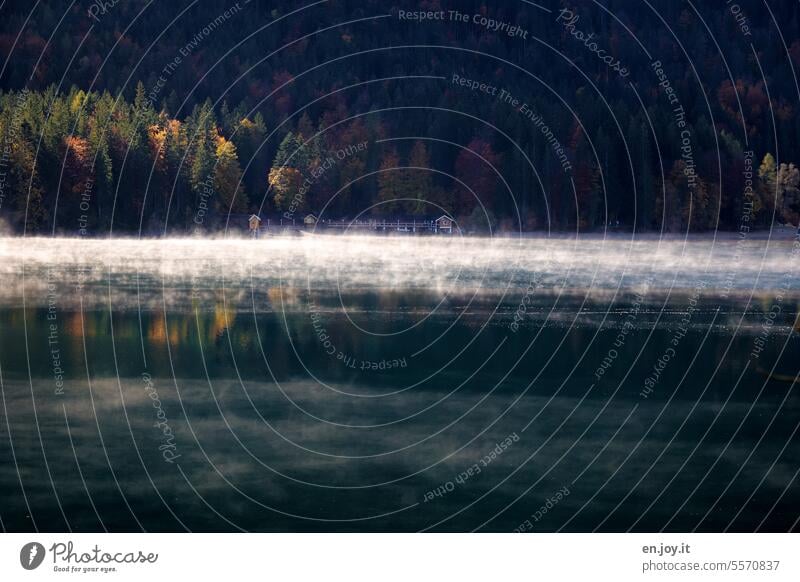 Wafts of mist over the Eibsee Eib Lake Fog wafts of mist Lakeside Autumn Boathouse Forest Bavaria Deserted Calm Reflection Vacation & Travel Landscape Nature