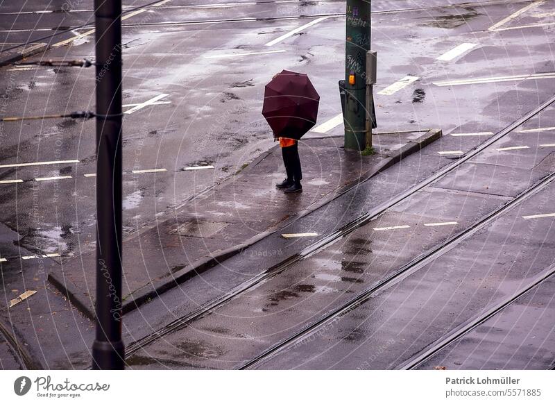 red-light district Woman Human being person People Rain Season Autumn October Frankfurt ffm mainhattan Red Wet Puddles Streetphoto rain shelter by oneself wet