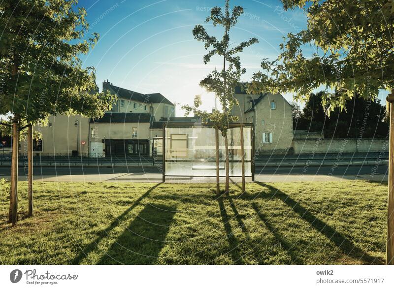 Free space Bayeux Normandie France Downtown Old town house wall urban Small Town Bus stop Glass wall Transparent Street Sidewalk Idyll Exterior shot