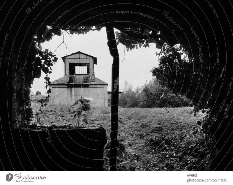 old iron Ruin forsake sb./sth. Building Old Decline Transience Broken Window Past Derelict Architecture Change Black & white photo lost places France Normandie