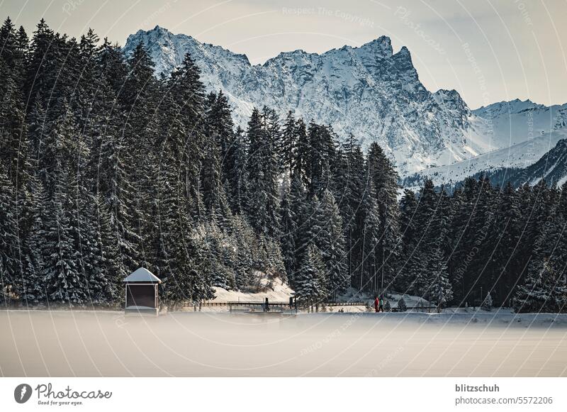 Mountain lake in winter with fog and mountains in the background mountain lake Switzerland lenzerheide Suisse Alps Swiss Alps Landscape Vacation & Travel