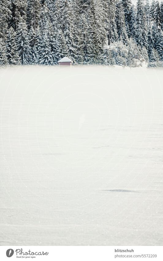 Small house of a dam in the fog Fog Morning Calm Lake Landscape Water Nature lenzerheide Dam wafts of mist Winter vacation Vacation & Travel Colour photo