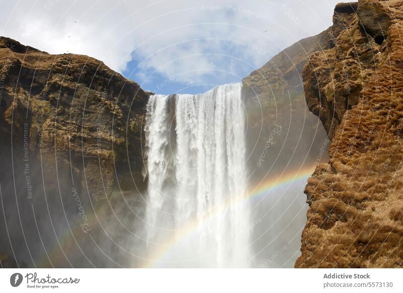 Rainbow near waterfall in nature rainbow cliff mountain power stream splash energy iceland refraction pure scenic highland flow cascade rock weather drop season