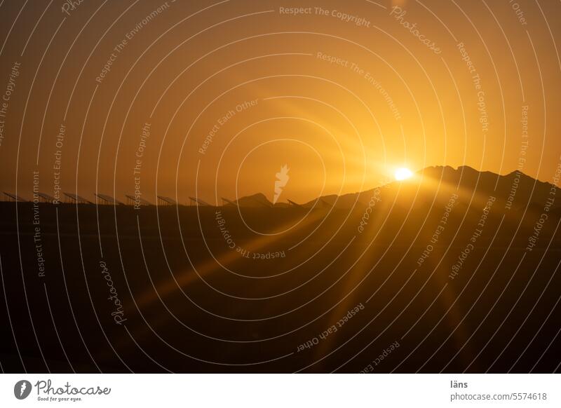 Sunrise next to a photovoltaic system photovoltaics Renewable energy Sustainability Sunlight Climate protection Environmental protection sustainability