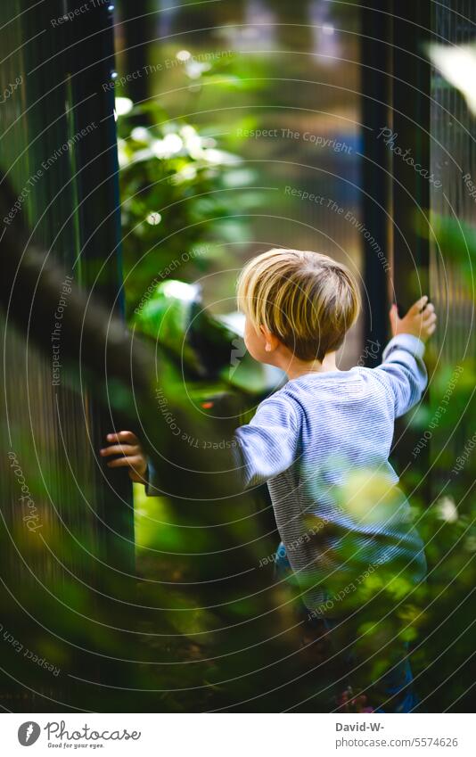 Boy exploring the garden Child Boy (child) inquisitorial explore exploratory tour Garden Nature Mysterious Discover explorers Cute Observe close to nature