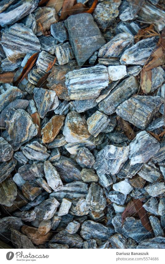 Close up of stones and leaves, top view rock close-up detail leaf nature background photography vertical color image outdoors stone - object day brown