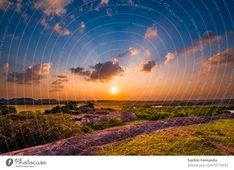 A sunset at Arugam Bay, Sri Lanka Sunset Sky Sunset sky Exterior shot sunset mood Twilight Evening Clouds Nature Dusk Colour photo Landscape Nature reserve