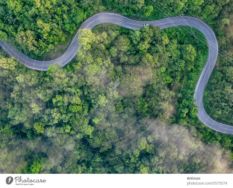 Aerial top view of green forest and highway road. Drone view of green trees and morning fog. Green trees background for carbon neutrality and net zero emissions concept. Sustainable green environment.