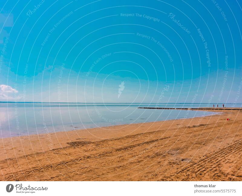 Beach with sea in Italy Vacation & Travel Ocean Sand Relaxation coast Water Summer Sky Tourism Summer vacation Exterior shot Landscape Nature Horizon