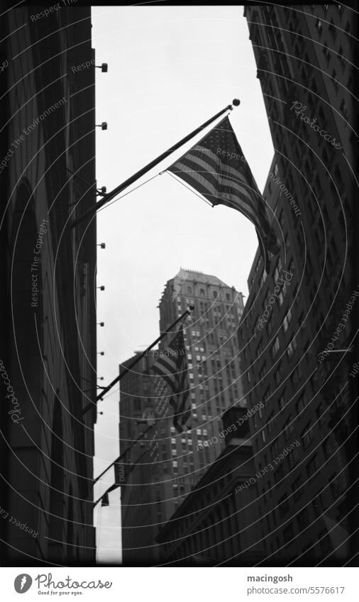 Street scene in Manhattan New York City USA Skyline Americas High-rise Town Tourism Architecture Tourist Attraction Building Exterior shot Downtown