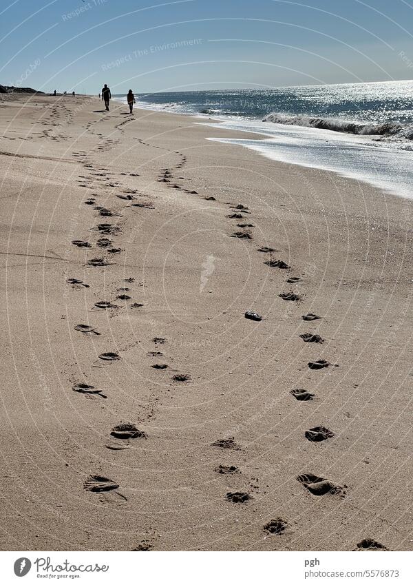 Traces in the sand Tracks Sand Ocean vacation Couple walk voyage free time Prints Feet footprints To go for a walk Sunset Sea water Sandy beach Beach