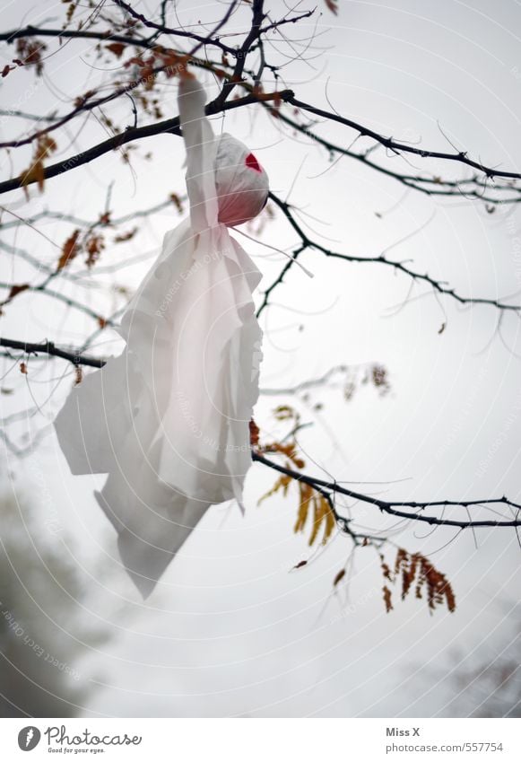 Buhuuu Decoration Hallowe'en Autumn Winter Tree Flying Hang Creepy White Fear Ghosts & Spectres  Spook Spooky Ghost forest Branch Twig Colour photo