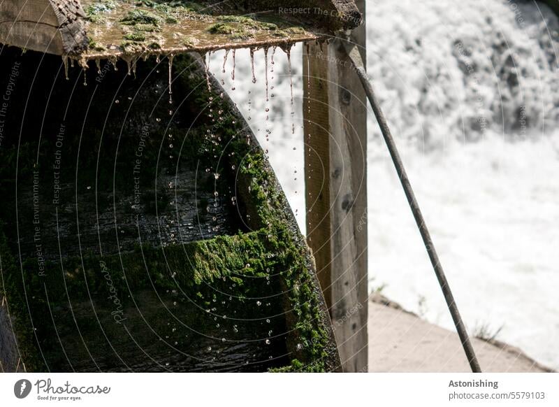 Drops on the water wheel Water Waterwheel Mill Wheel Wood Wet Moss Nature Green Exterior shot Colour photo Rain Drops of water Detail Close-up Plant Damp Fine