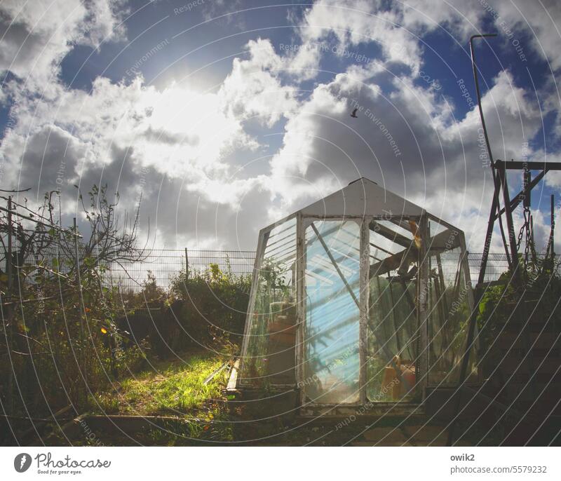 glass case Greenhouse Building Glass Transparent Simple Back-light Light (Natural Phenomenon) Beautiful weather Sunlight Contrast Shadow Exterior shot Long shot