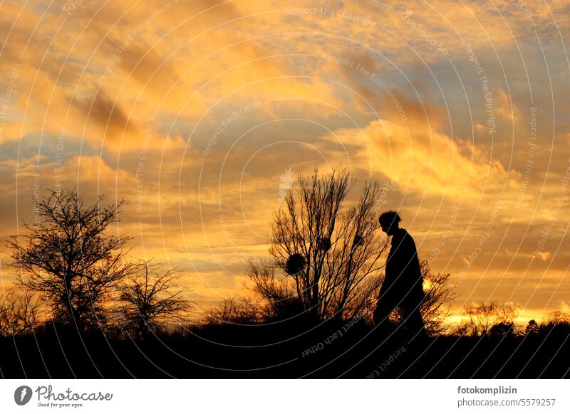 Silhouette of a walker under the evening sky Back-light Shadow Sunset Twilight evening mood Evening sun Illuminate outline future outlook Future afterglows