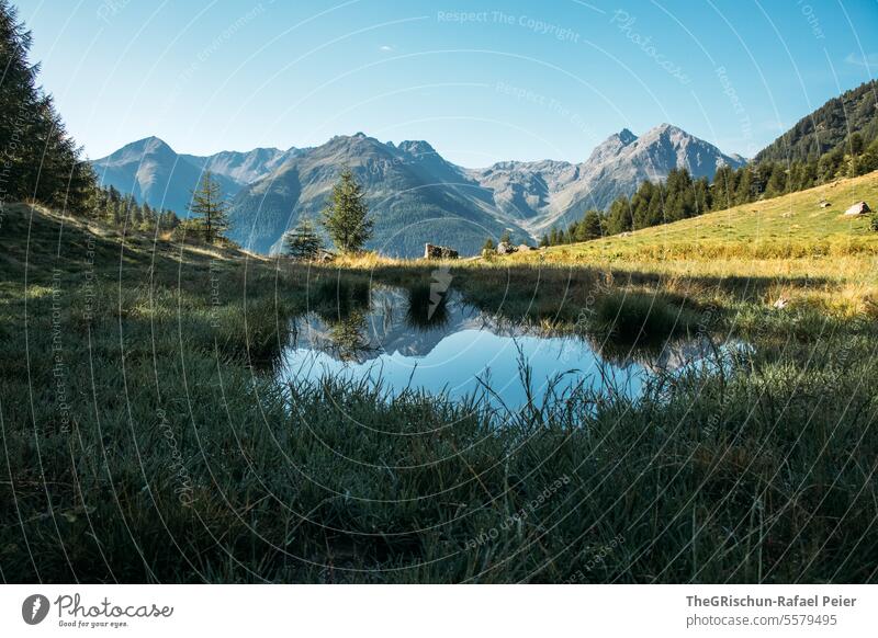 Chalet in front of mountains with flowers in the foreground Engadine guarda Switzerland Grass sunny Blue sky Mountain Lake reflection mountain panorama