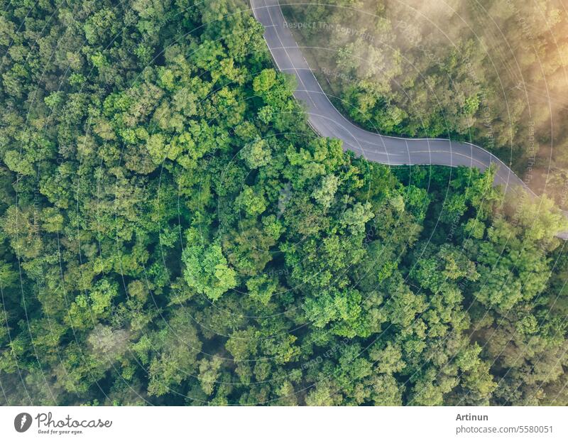 Aerial top view of green forest and highway road. Drone view of green trees and morning fog. Green trees background for carbon neutrality and net zero emissions concept. Sustainable green environment.