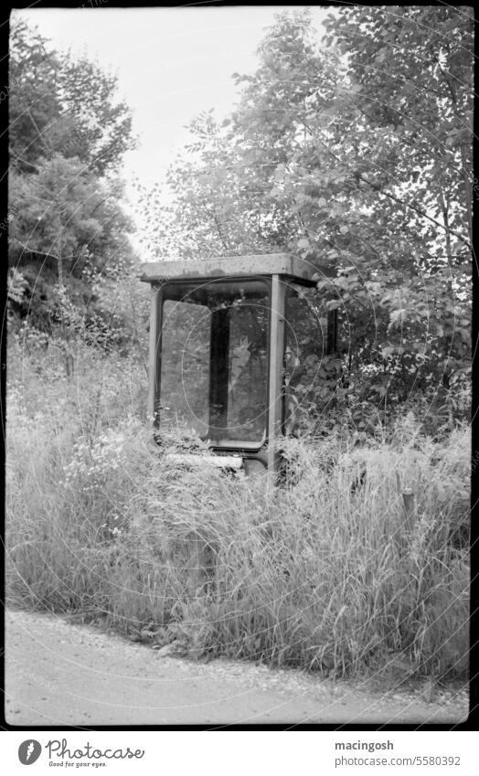 Abandoned, overgrown gatehouse in the forest gatekeepers Urbex rurex Rural forsake sb./sth. Deserted Building Architecture Ruin Decline Broken Transience