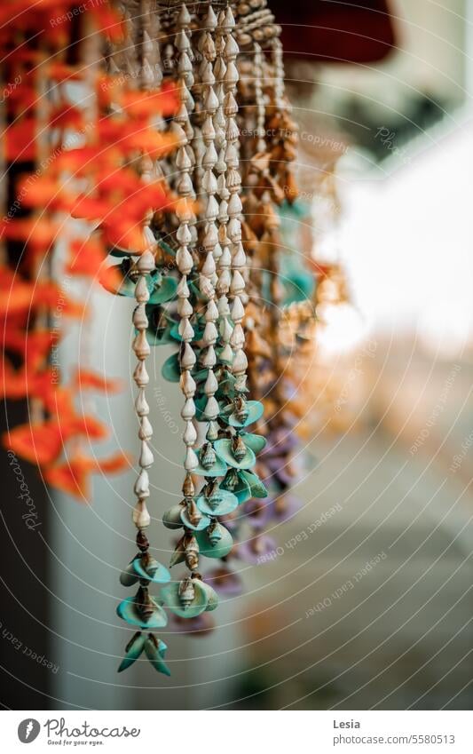 marine decoration sea stone sea shells orange shell orange sky harbor Necklace Shell sand necklaces rocks Rocky coastline sunshine Sunset