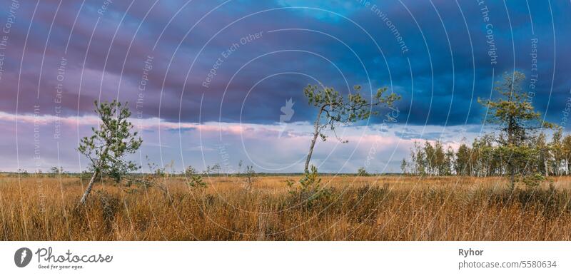 Miory District, Vitebsk Region, Belarus. Yelnya Nature Reserve. Yelnya Reserve or Elnya Is Biggest Swamp Complex In Belarus. Bright Colored Dramatic Sky Above Wetland. Yelnya Swamp