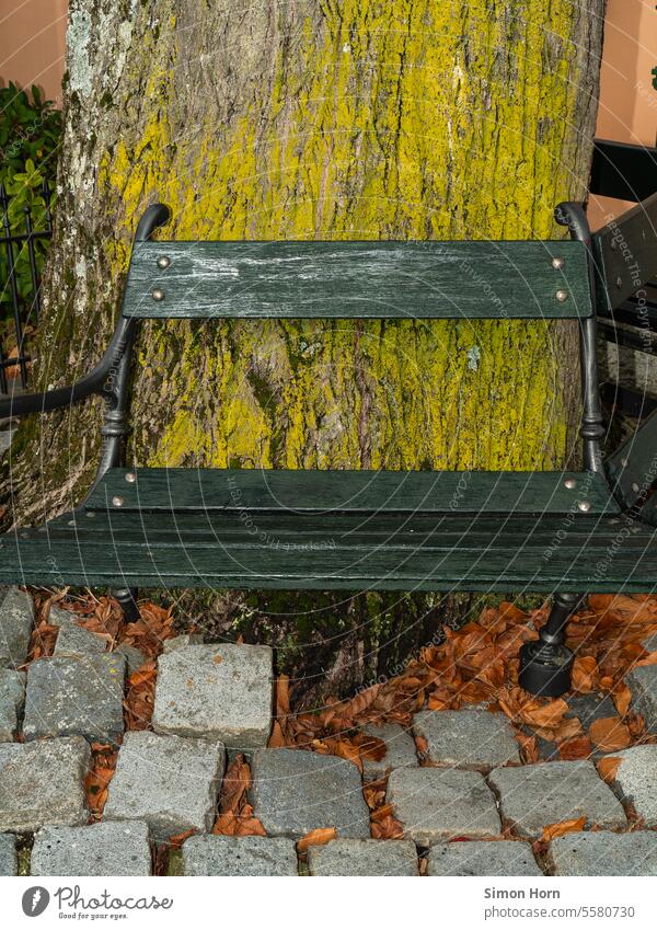 The roots of a tree lift the pavement on which an old bench stands Paving stone Force of nature Uneven Bench Waiting bench Tree trunk outlast Dignified