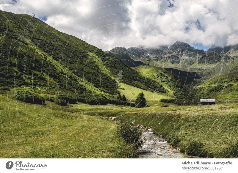 Alpine landscape in Tyrol / Austria Serfaus Fiss-Ladis Komperdell Alps mountains valleys wooden huts Mountain huts Landscape Nature Fog wafts of mist Grass