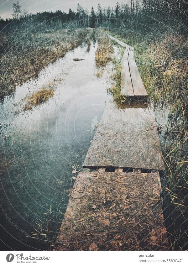 hilfreich | brücken bauen Moorgebiet feucht Wasser Überschwemmung Holzsteg Landschaft wackelig Weg Abenteuer wandern Brücke Holzplanken rutschig