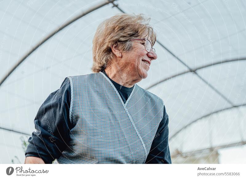 Happy senior gardener in the greenhouse, old woman preparing the soil to plant new vegetables harvesting farming older wrinkled pensioner retired 60s