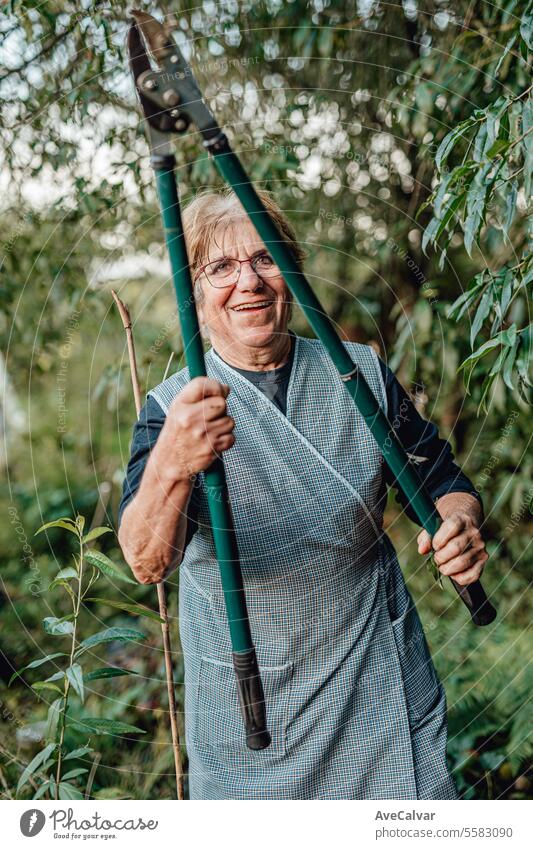 Senior people picking up vegetables in greenhouse. Working rural blue collar jobs. Retirement age woman harvesting farming pensioner retired grandmother mature