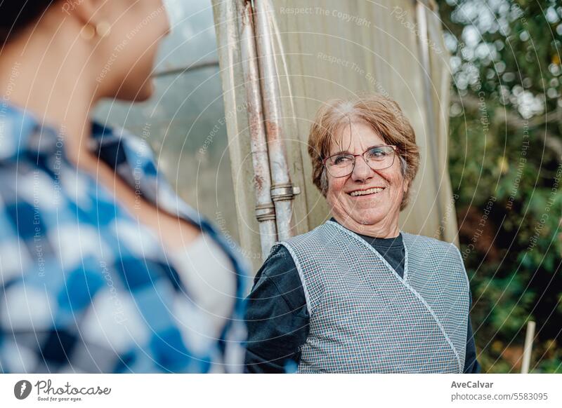 Senior people picking up vegetables in greenhouse. Working rural blue collar jobs. Retirement age woman harvesting farming grandma older pensioner retired