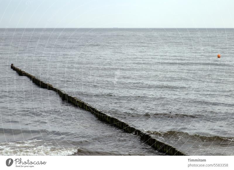 Water with groyne and buoy Baltic Sea Waves Ocean Break water Vacation & Travel Horizon Sky Blue Deserted Colour photo Buoy Red