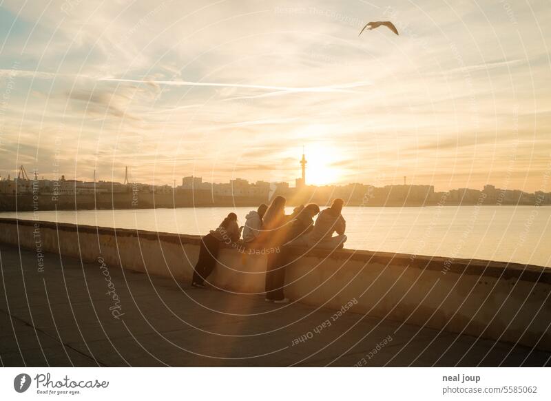 Group of young people on quay wall in front of city panorama at sunrise Town Sunrise in the morning early urban group Sunlight rays warm Dawn Ocean Bay Harbour