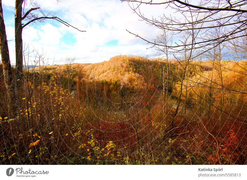 Thuringian mountains Mountain Sunset Sunlight Landscape Autumn Autumnal Automn wood Thueringer Wald Thuringian Forest forest mountains