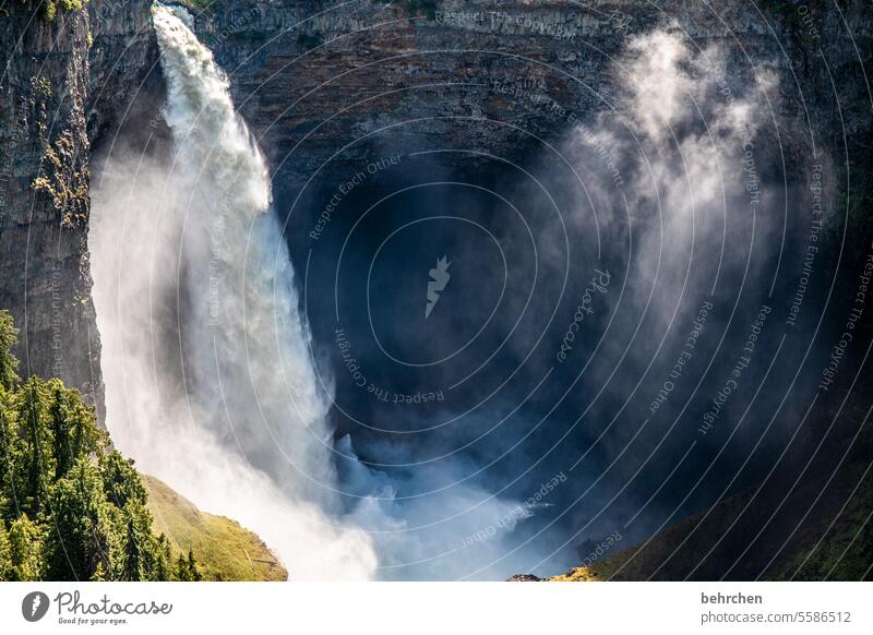 sound painting | huge noise Riverbed Canyon Wall of rock Rock Forest Wells Gray Park Wells Gray Provincial Park British Columbia North America Canada