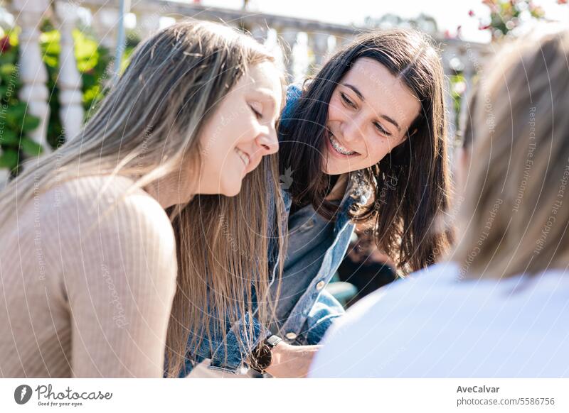 Young women studying together in a house sharing books and notes. Education at university. group students bonding young adult togetherness laughing learning